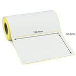 152.4 x 101.6mm Direct Thermal Labels - Freezer Grade Adhesive