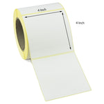 4x4 Inch Direct Thermal Labels - Freezer Grade Adhesive